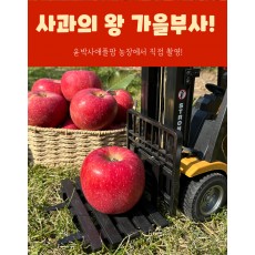 가을사과 [부사]  10kg  가정용[못난이]