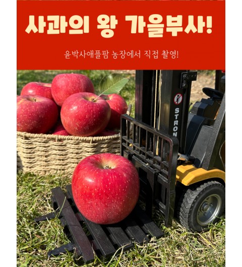 가을사과 [부사]  10kg  가정용[못난이]